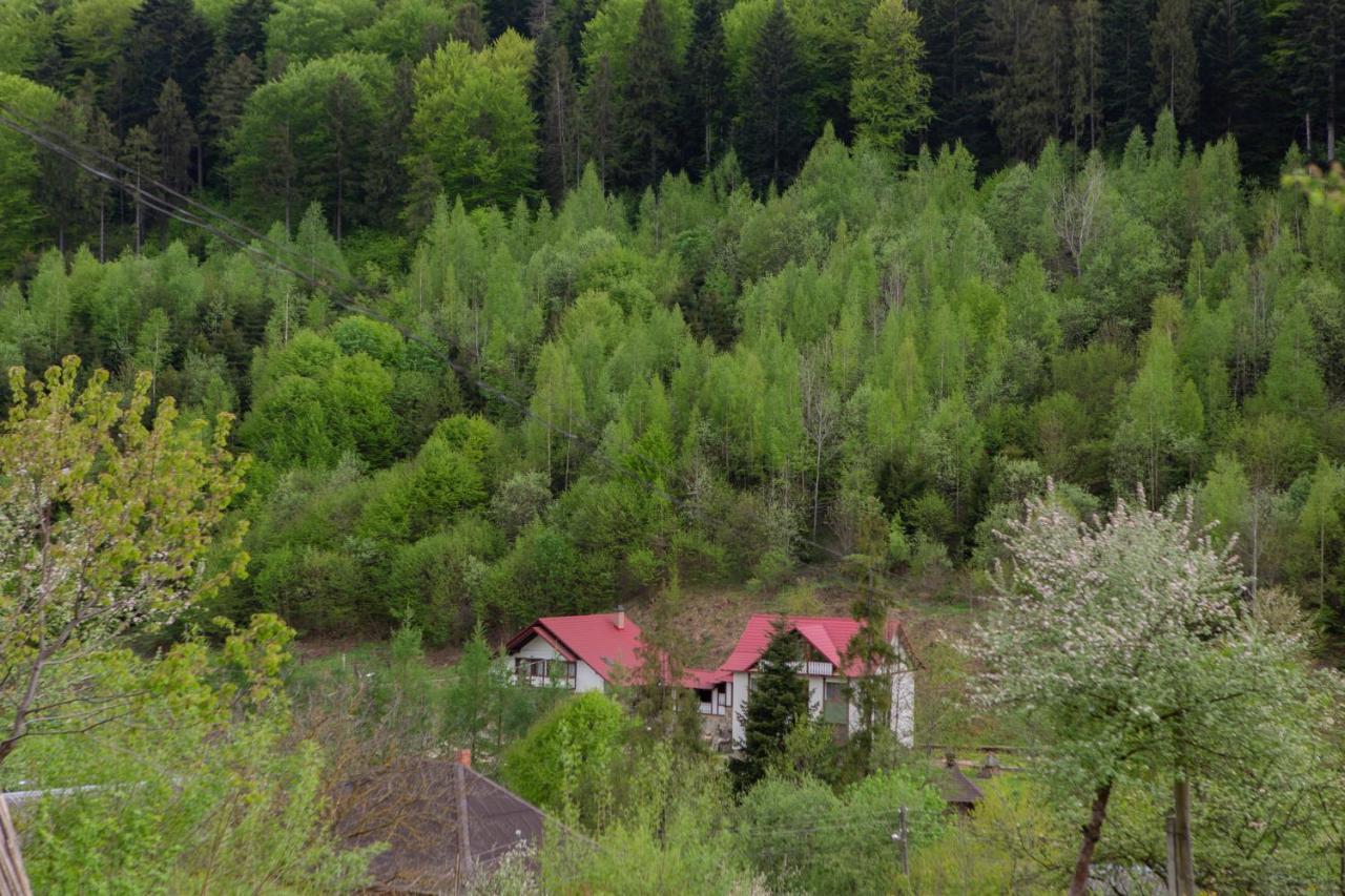 Villa Kamyanka Jaremtsche Exterior foto