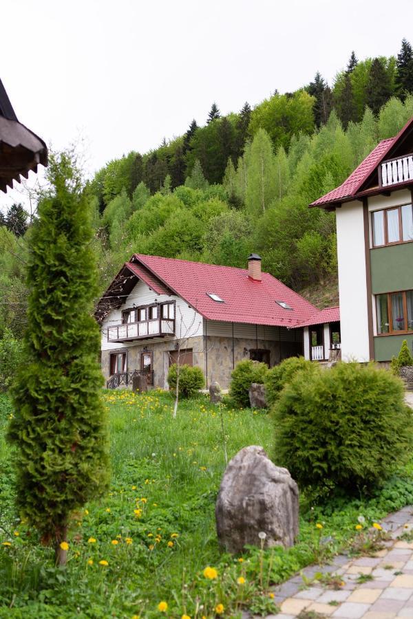 Villa Kamyanka Jaremtsche Exterior foto